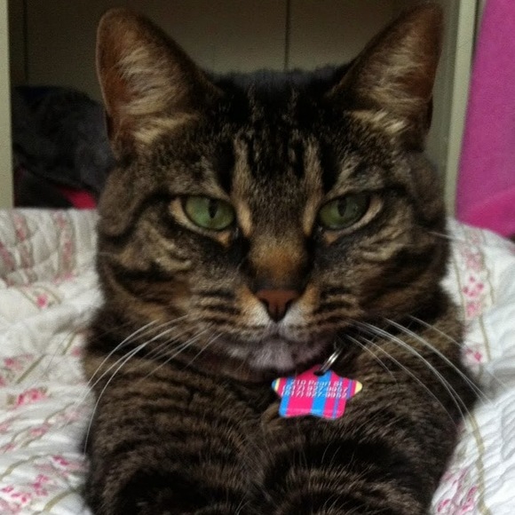 Meet your Posher, Lauren - Picture 1 of 1